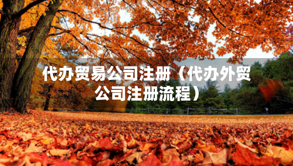 代办贸易公司注册（代办外贸公司注册流程）