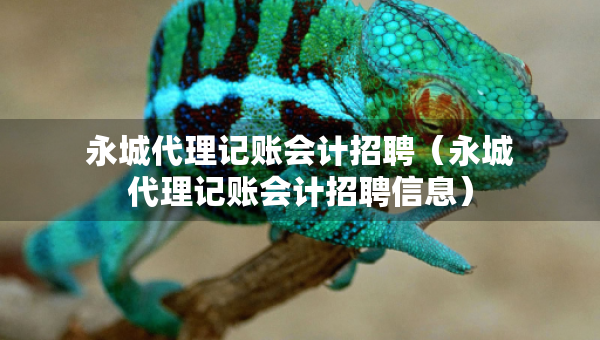 永城代理记账会计招聘（永城代理记账会计招聘信息）