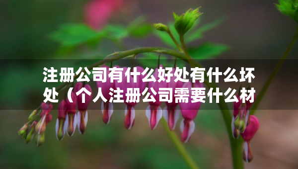 注册公司有什么好处有什么坏处（个人注册公司需要什么材料和手续）