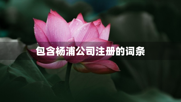 包含杨浦公司注册的词条