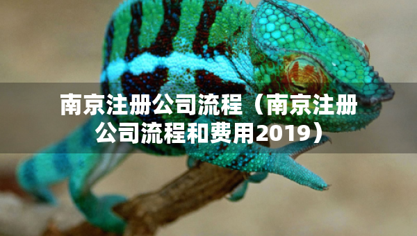 南京注册公司流程（南京注册公司流程和费用2019）