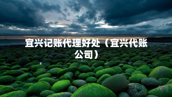 宜兴记账代理好处（宜兴代账公司）