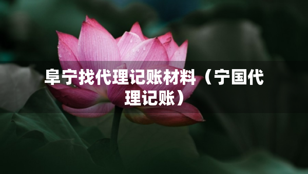 阜宁找代理记账材料（宁国代理记账）