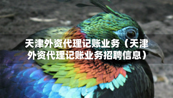 天津外资代理记账业务（天津外资代理记账业务招聘信息）