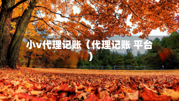 小v代理记账（代理记账 平台）