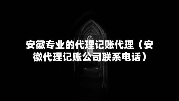 安徽专业的代理记账代理（安徽代理记账公司联系电话）