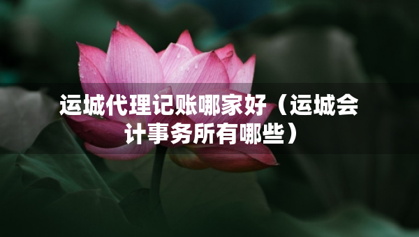运城代理记账哪家好（运城会计事务所有哪些）