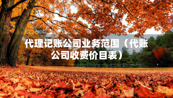 代理记账公司业务范围（代账公司收费价目表）