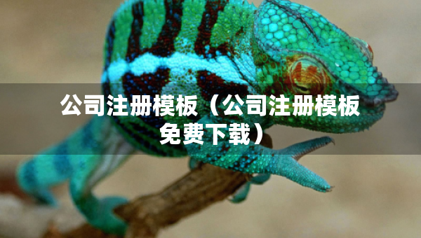公司注册模板（公司注册模板免费下载）
