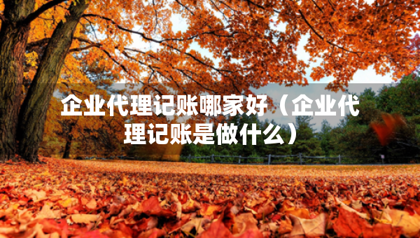 企业代理记账哪家好(企业代理记账是做什么) 企业代理记账哪家好(企业代理记账是做什么)