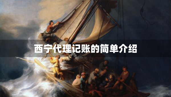 西宁代理记账的简单介绍