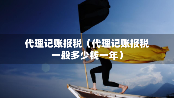 代理记账报税（代理记账报税一般多少钱一年）