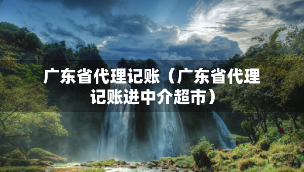 广东省代理记账（广东省代理记账进中介超市）