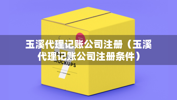 玉溪代理记账公司注册（玉溪代理记账公司注册条件）