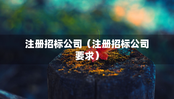 注册招标公司（注册招标公司要求）