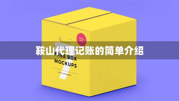 鞍山代理记账的简单介绍