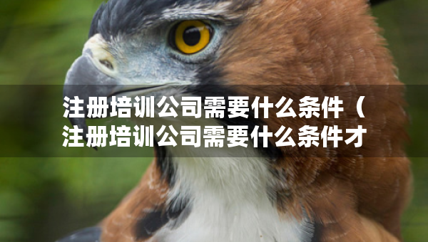 注册培训公司需要什么条件（注册培训公司需要什么条件才能注册）