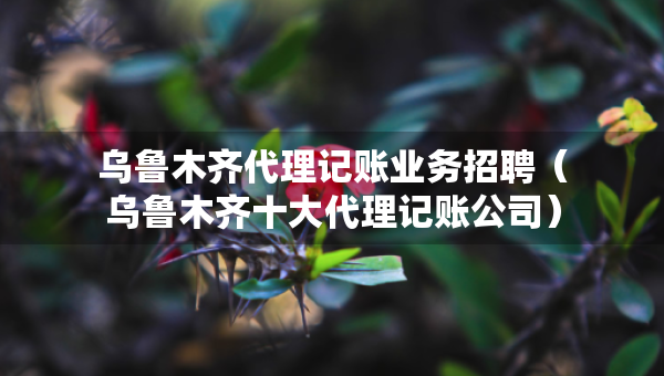 乌鲁木齐代理记账业务招聘（乌鲁木齐十大代理记账公司）