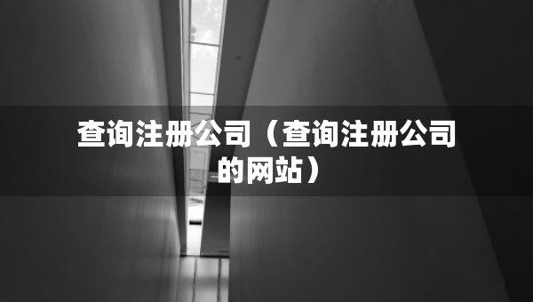 查询注册公司（查询注册公司的网站）