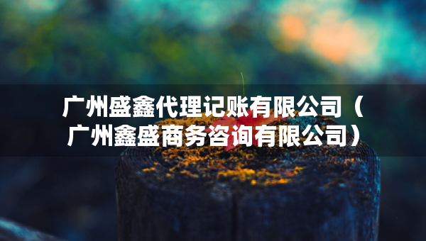 广州盛鑫代理记账有限公司（广州鑫盛商务咨询有限公司）