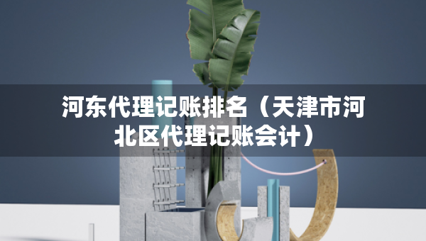 河东代理记账排名（天津市河北区代理记账会计）