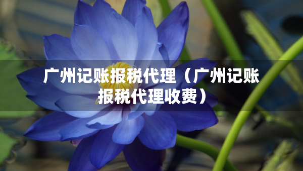 广州记账报税代理（广州记账报税代理收费）