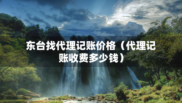 东台找代理记账价格（代理记账收费多少钱）