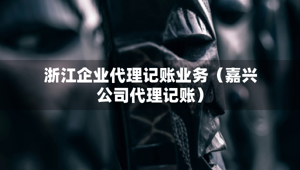 浙江企业代理记账业务（嘉兴公司代理记账）