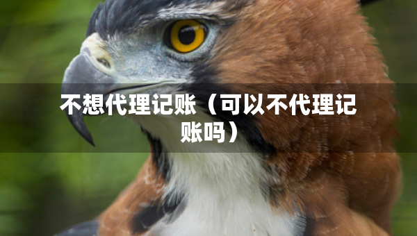 不想代理记账（可以不代理记账吗）