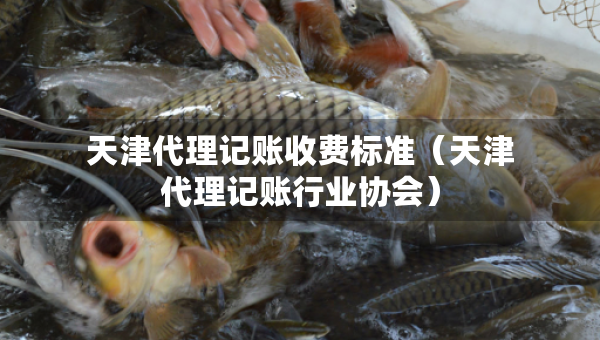 天津代理记账收费标准（天津代理记账行业协会）