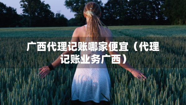广西代理记账哪家便宜（代理记账业务广西）