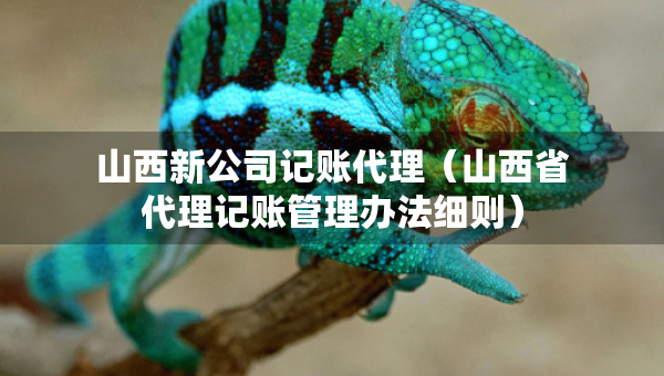 山西新公司记账代理（山西省代理记账管理办法细则）