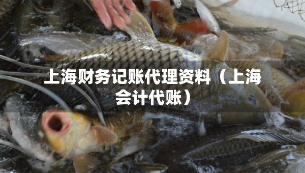 上海财务记账代理资料（上海会计代账）