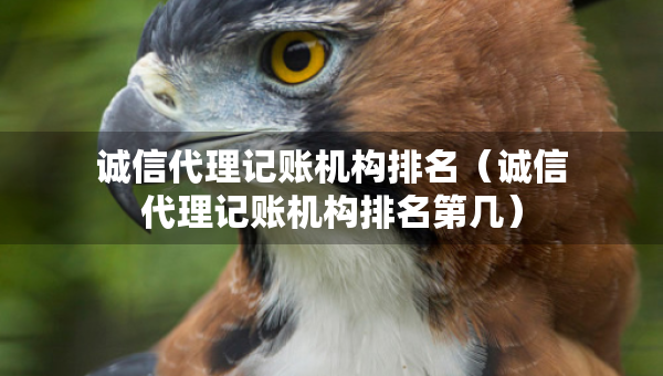 诚信代理记账机构排名（诚信代理记账机构排名第几）