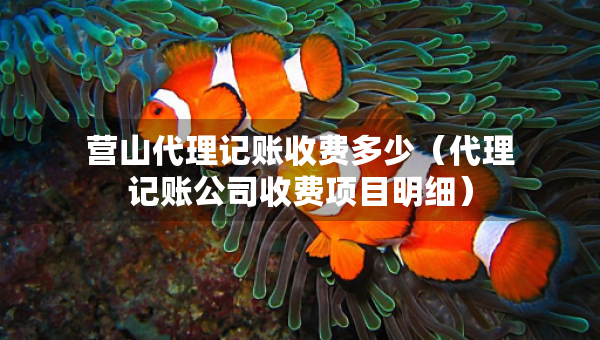 营山代理记账收费多少（代理记账公司收费项目明细）
