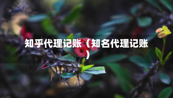 知乎代理记账（知名代理记账）