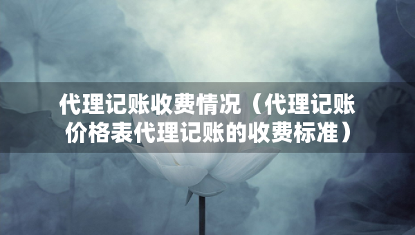 代理记账收费情况（代理记账价格表代理记账的收费标准）