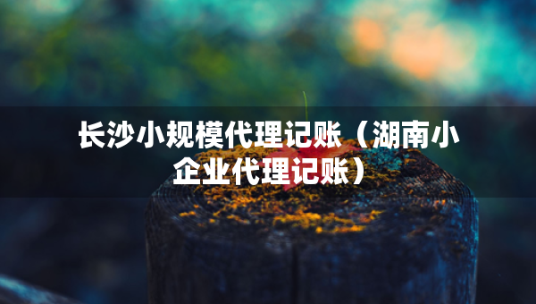 长沙小规模代理记账（湖南小企业代理记账）