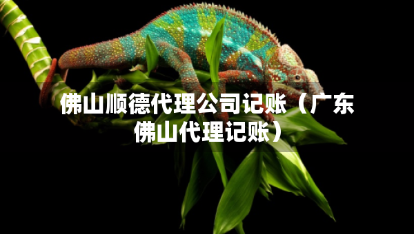 佛山顺德代理公司记账（广东佛山代理记账）
