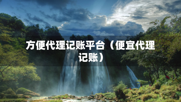 方便代理记账平台（便宜代理记账）