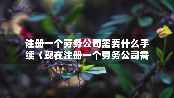 注册一个劳务公司需要什么手续（现在注册一个劳务公司需要啥资料和手续）