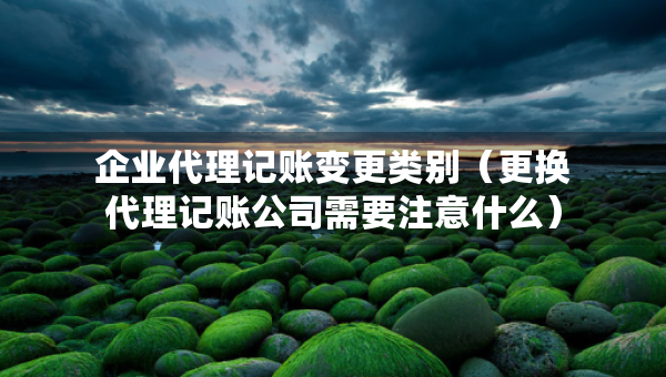 企业代理记账变更类别（更换代理记账公司需要注意什么）