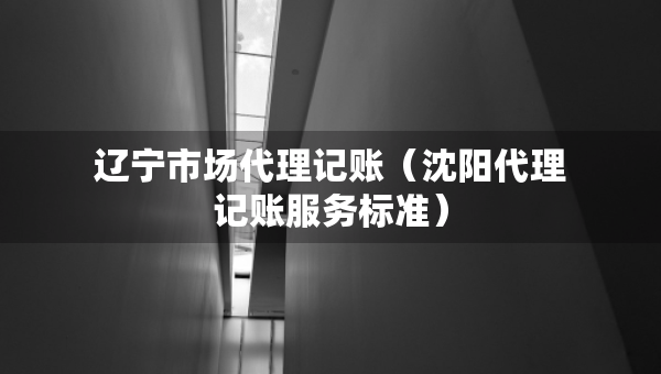 辽宁市场代理记账（沈阳代理记账服务标准）