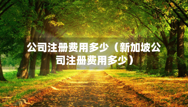 公司注册费用多少（新加坡公司注册费用多少）