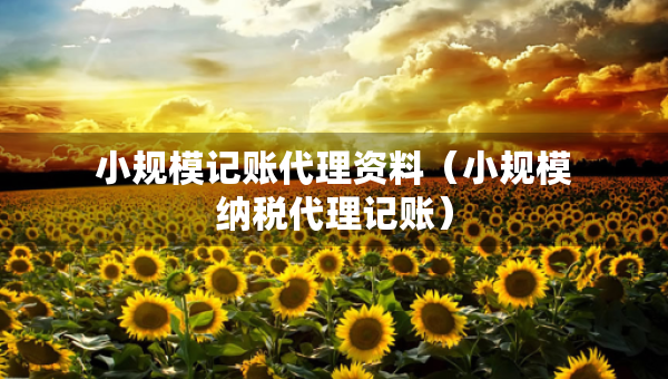 小规模记账代理资料（小规模纳税代理记账）
