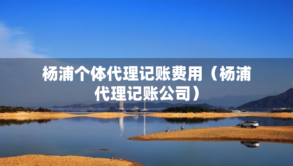 杨浦个体代理记账费用（杨浦代理记账公司）
