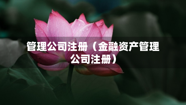 管理公司注册（金融资产管理公司注册）