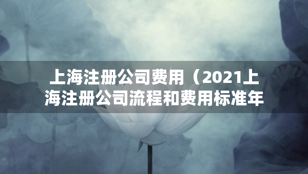 上海注册公司费用（2021上海注册公司流程和费用标准年）