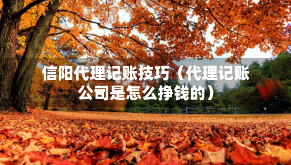 信阳代理记账技巧（代理记账公司是怎么挣钱的）