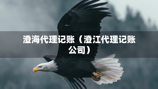 澄海代理记账（澄江代理记账公司）